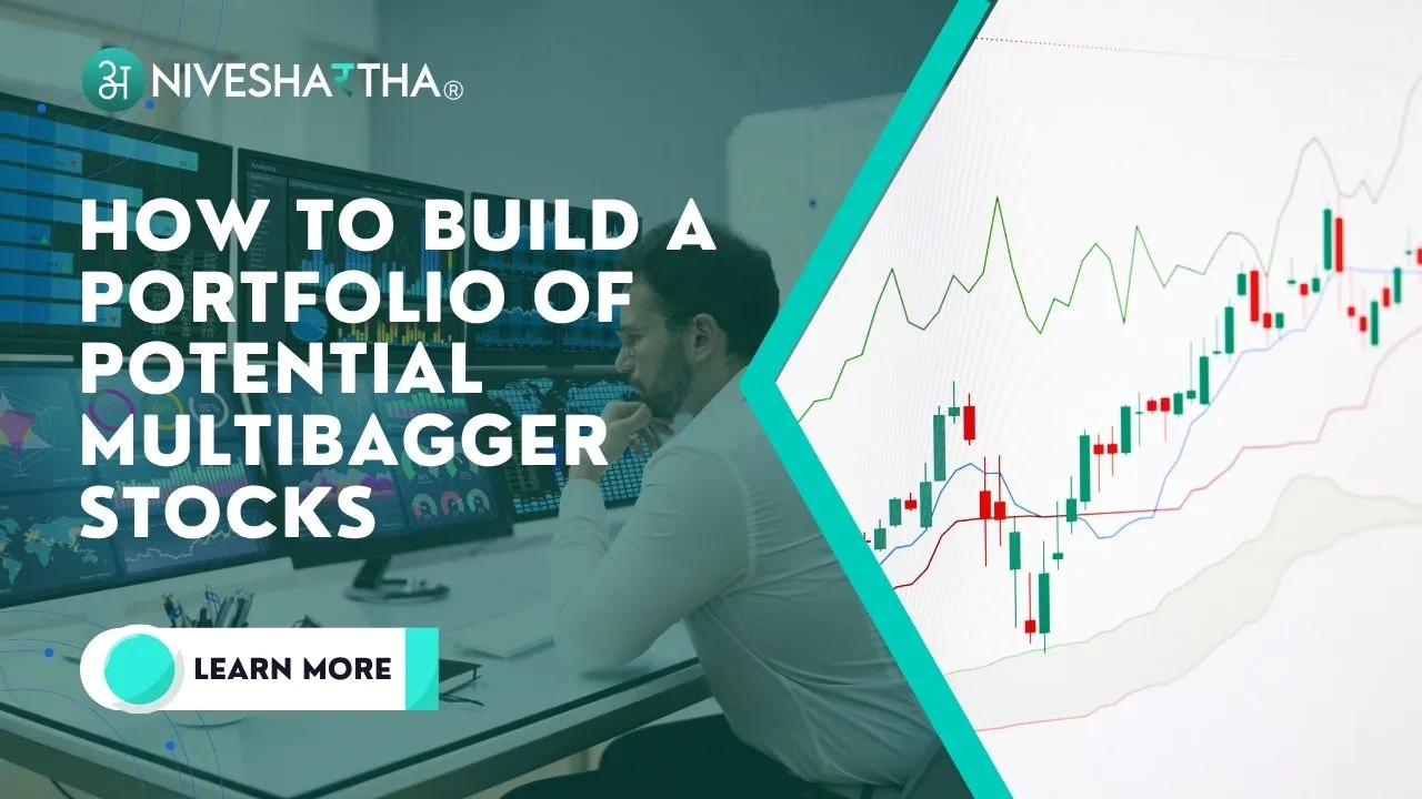 How to Build a Portfolio of Potential Multibagger Stocks